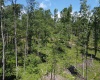TBD Eagles Nest Road, Bruceton Mills, West Virginia 26525, ,Lots/land,For Sale,Eagles Nest,10165422