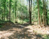 TBD Eagles Nest Road, Bruceton Mills, West Virginia 26525, ,Lots/land,For Sale,Eagles Nest,10165422