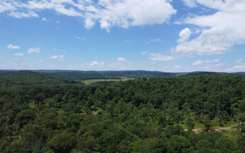 TBD Eagles Nest Road, Bruceton Mills, West Virginia 26525, ,Lots/land,For Sale,Eagles Nest,10165422