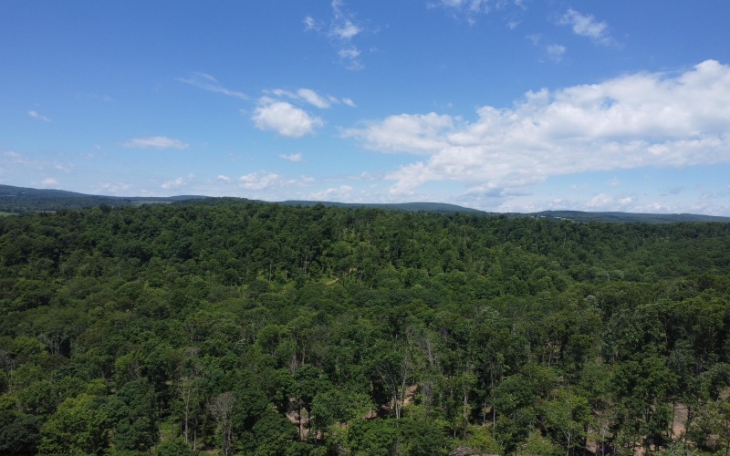 TBD Eagles Nest Road, Bruceton Mills, West Virginia 26525, ,Lots/land,For Sale,Eagles Nest,10165422