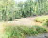 TBD Eagles Nest Road, Bruceton Mills, West Virginia 26525, ,Lots/land,For Sale,Eagles Nest,10165422
