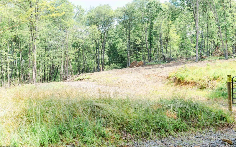 TBD Eagles Nest Road, Bruceton Mills, West Virginia 26525, ,Lots/land,For Sale,Eagles Nest,10165422
