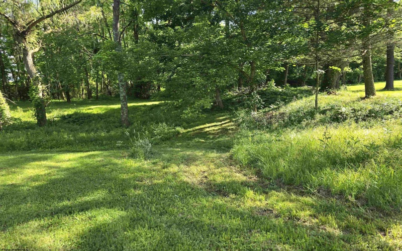 10 Herring Road, Masontown, West Virginia 26542, 3 Bedrooms Bedrooms, 6 Rooms Rooms,2 BathroomsBathrooms,Single Family Detached,For Sale,Herring,10165435