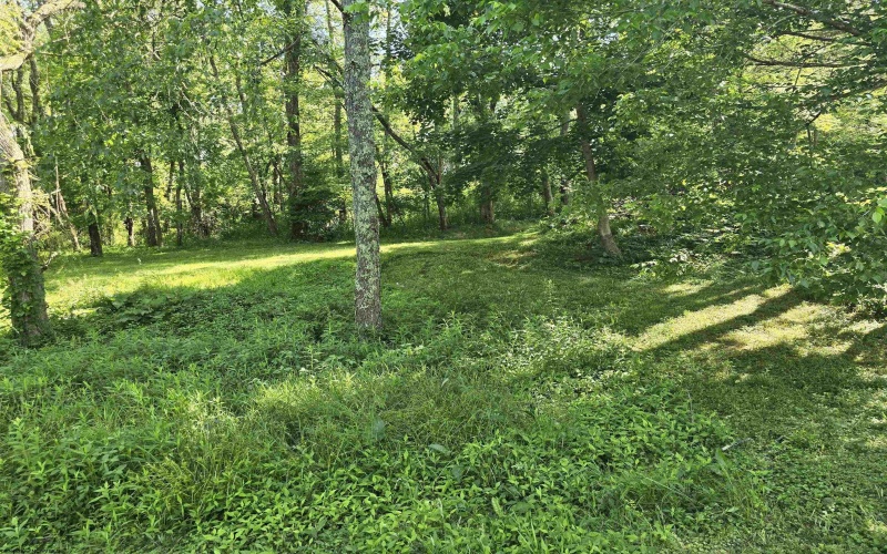 10 Herring Road, Masontown, West Virginia 26542, 3 Bedrooms Bedrooms, 6 Rooms Rooms,2 BathroomsBathrooms,Single Family Detached,For Sale,Herring,10165435