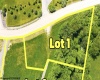 TBD Laurel Run Pisgah Road, Bruceton Mills, West Virginia 26525, ,Lots/land,For Sale,Laurel Run Pisgah,10165430