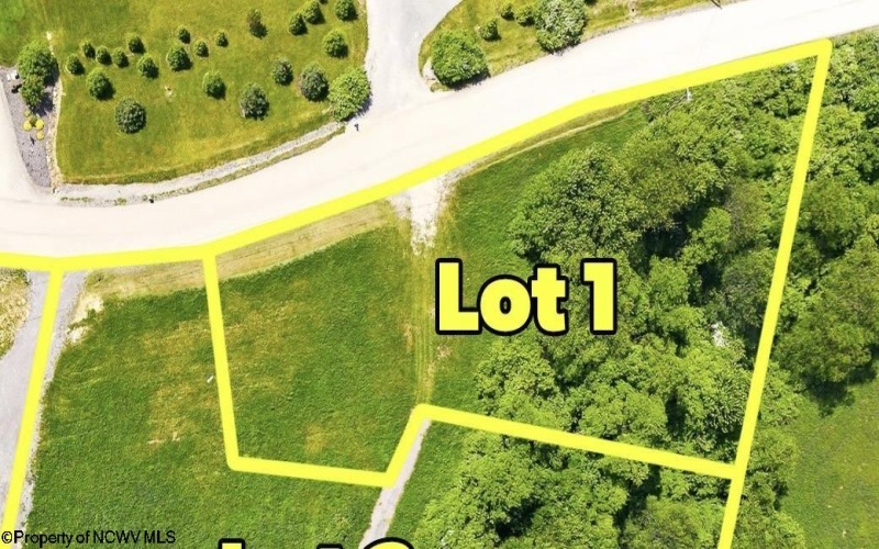 TBD Laurel Run Pisgah Road, Bruceton Mills, West Virginia 26525, ,Lots/land,For Sale,Laurel Run Pisgah,10165430