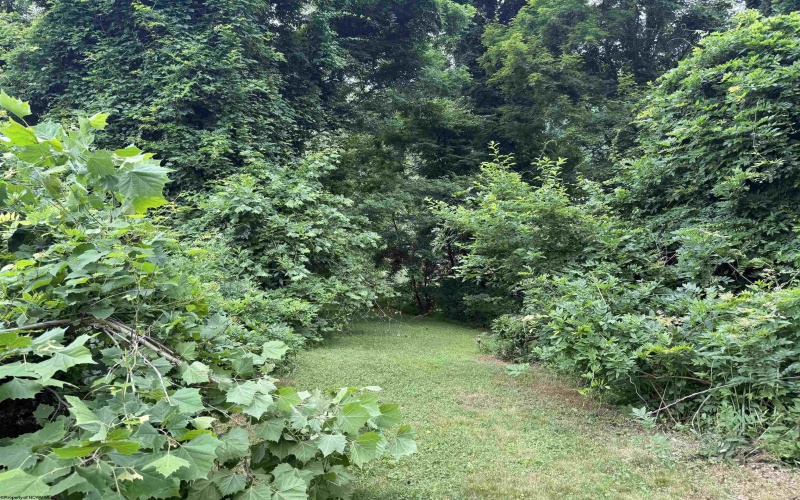 169 Ohio Avenue, Grafton, West Virginia 26440, 6 Bedrooms Bedrooms, 9 Rooms Rooms,2 BathroomsBathrooms,Single Family Detached,For Sale,Ohio,10165424