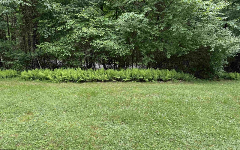 3416 Pleasantdale Road, Kingwood, West Virginia 26537, 3 Bedrooms Bedrooms, 6 Rooms Rooms,1 BathroomBathrooms,Single Family Detached,For Sale,Pleasantdale,10165440
