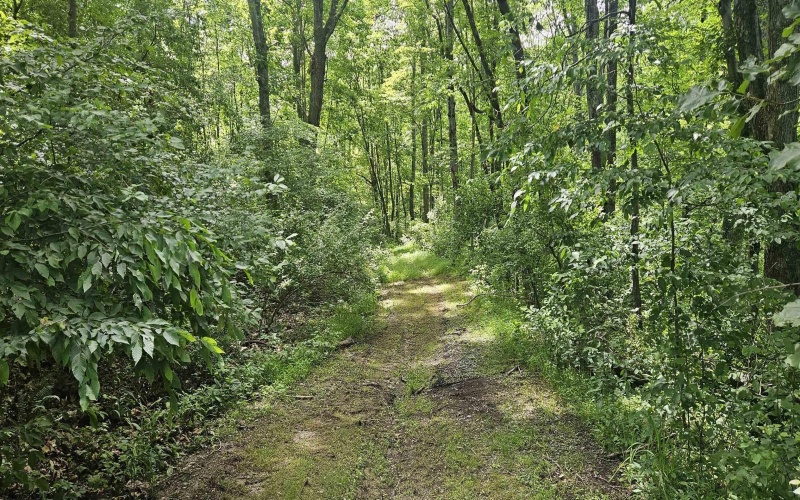 TBD School Street, Farmington, West Virginia 26571, ,Lots/land,For Sale,School,10165442 TBD School Street, Farmington, West Virginia 26571, ,Lots/land,For Sale,School,10165442