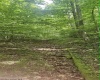TBD School Street, Farmington, West Virginia 26571, ,Lots/land,For Sale,School,10165442 TBD School Street, Farmington, West Virginia 26571, ,Lots/land,For Sale,School,10165442