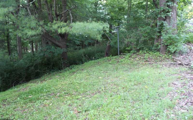 239 Diana Drive, Webster Springs, West Virginia 26288, 3 Bedrooms Bedrooms, 7 Rooms Rooms,1 BathroomBathrooms,Single Family Detached,For Sale,Diana,10165443