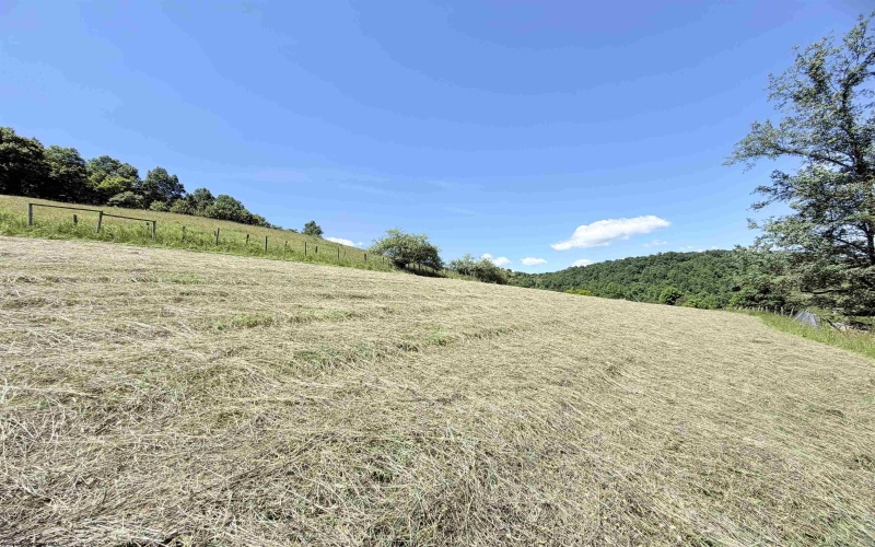 2924 Sinclair Road, Moatsville, West Virginia 26405, 4 Bedrooms Bedrooms, 12 Rooms Rooms,3 BathroomsBathrooms,Single Family Detached,For Sale,Sinclair,10165444 2924 Sinclair Road, Moatsville, West Virginia 26405, 4 Bedrooms Bedrooms, 12 Rooms Rooms,3 BathroomsBathrooms,Single Family Detached,For Sale,Sinclair,10165444