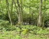 TBD Camp Mountaineer Road, Morgantown, West Virginia 26508, ,Lots/land,For Sale,Camp Mountaineer,10165459