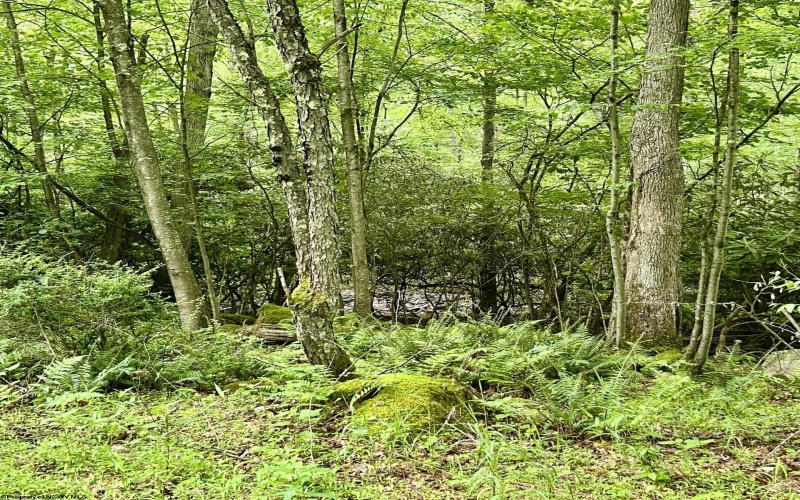 TBD Camp Mountaineer Road, Morgantown, West Virginia 26508, ,Lots/land,For Sale,Camp Mountaineer,10165459