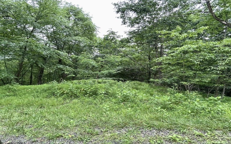 TBD Camp Mountaineer Road, Morgantown, West Virginia 26508, ,Lots/land,For Sale,Camp Mountaineer,10165459