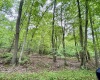 TBD Camp Mountaineer Road, Morgantown, West Virginia 26508, ,Lots/land,For Sale,Camp Mountaineer,10165459
