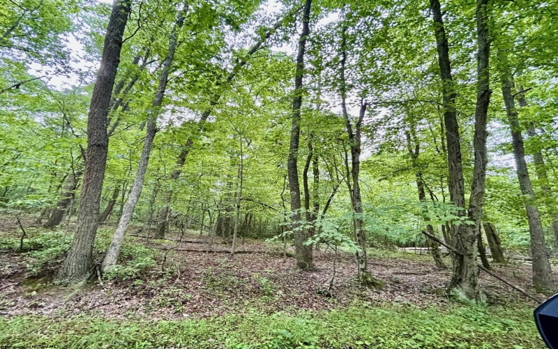 TBD Camp Mountaineer Road, Morgantown, West Virginia 26508, ,Lots/land,For Sale,Camp Mountaineer,10165459