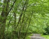 TBD Camp Mountaineer Road, Morgantown, West Virginia 26508, ,Lots/land,For Sale,Camp Mountaineer,10165459