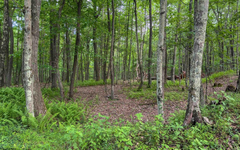 TBD Camp Mountaineer Road, Morgantown, West Virginia 26508, ,Lots/land,For Sale,Camp Mountaineer,10165459