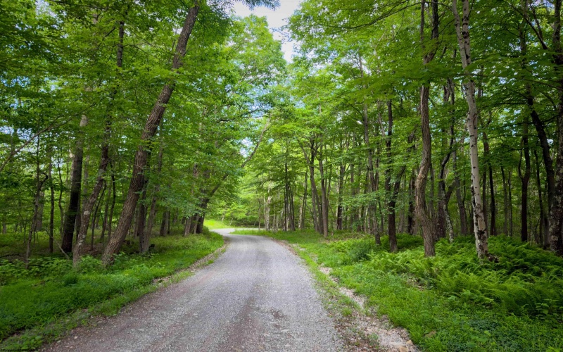 TBD Camp Mountaineer Road, Morgantown, West Virginia 26508, ,Lots/land,For Sale,Camp Mountaineer,10165459