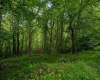 TBD Camp Mountaineer Road, Morgantown, West Virginia 26508, ,Lots/land,For Sale,Camp Mountaineer,10165459