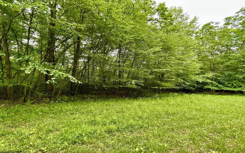 TBD Camp Mountaineer Road, Morgantown, West Virginia 26508, ,Lots/land,For Sale,Camp Mountaineer,10165459