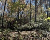 TBD Camp Mountaineer Road, Morgantown, West Virginia 26508, 0 , 0 ,0,Lots/land,For Sale,Camp Mountaineer,0,10165459
