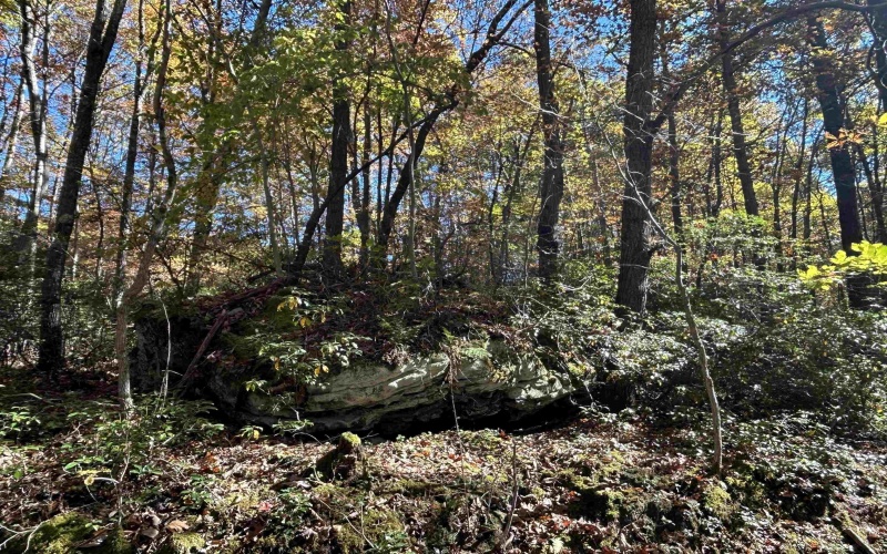 TBD Camp Mountaineer Road, Morgantown, West Virginia 26508, 0 , 0 ,0,Lots/land,For Sale,Camp Mountaineer,0,10165459
