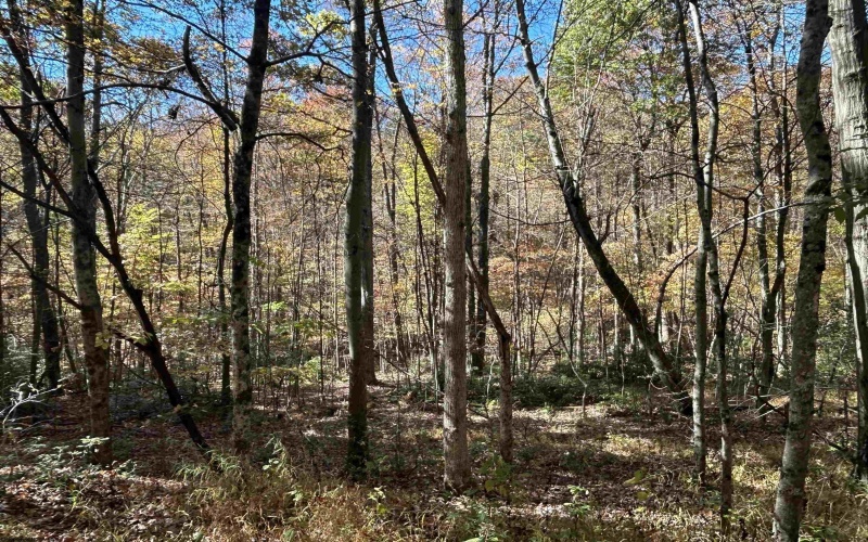 TBD Camp Mountaineer Road, Morgantown, West Virginia 26508, 0 , 0 ,0,Lots/land,For Sale,Camp Mountaineer,0,10165459