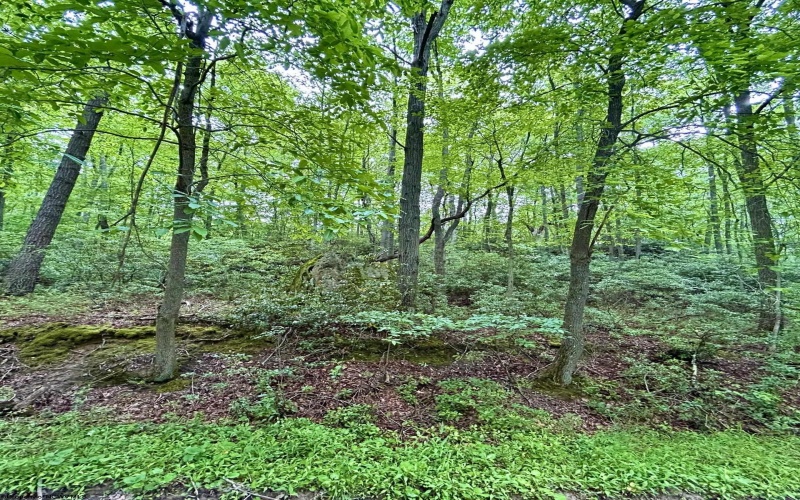 TBD Camp Mountaineer Road, Morgantown, West Virginia 26508, ,Lots/land,For Sale,Camp Mountaineer,10165459