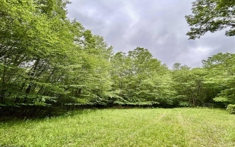 TBD Camp Mountaineer Road, Morgantown, West Virginia 26508, ,Lots/land,For Sale,Camp Mountaineer,10165459