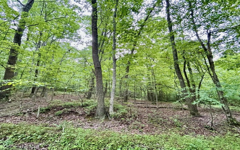 TBD Camp Mountaineer Road, Morgantown, West Virginia 26508, ,Lots/land,For Sale,Camp Mountaineer,10165459