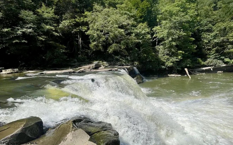87 Whitewater Parkway, Bruceton Mills, West Virginia 26525, ,Lots/land,For Sale,Whitewater,10162911