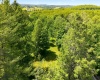 0 Robert Stone Highway, Reedsville, West Virginia 26547, ,Lots/land,For Sale,Robert Stone,10165453 0 Robert Stone Highway, Reedsville, West Virginia 26547, ,Lots/land,For Sale,Robert Stone,10165453