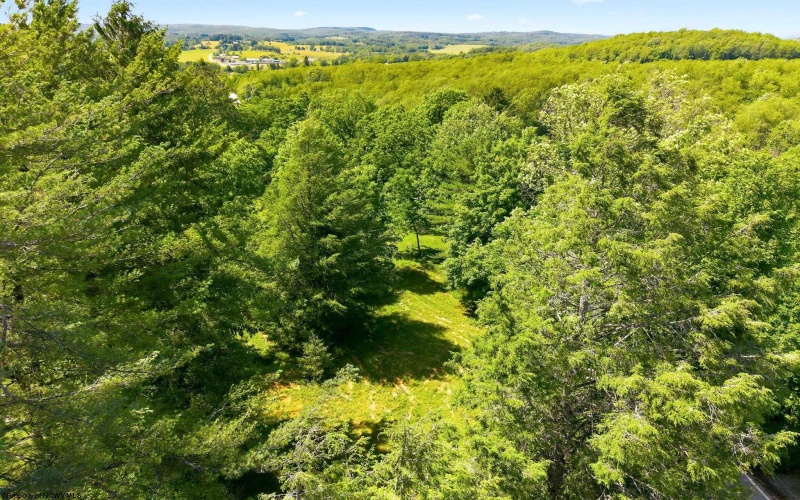 0 Robert Stone Highway, Reedsville, West Virginia 26547, ,Lots/land,For Sale,Robert Stone,10165453 0 Robert Stone Highway, Reedsville, West Virginia 26547, ,Lots/land,For Sale,Robert Stone,10165453