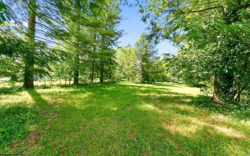 0 Robert Stone Highway, Reedsville, West Virginia 26547, ,Lots/land,For Sale,Robert Stone,10165453 0 Robert Stone Highway, Reedsville, West Virginia 26547, ,Lots/land,For Sale,Robert Stone,10165453