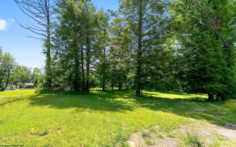 0 Robert Stone Highway, Reedsville, West Virginia 26547, ,Lots/land,For Sale,Robert Stone,10165453 0 Robert Stone Highway, Reedsville, West Virginia 26547, ,Lots/land,For Sale,Robert Stone,10165453