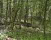 3091B Pleasantdale Road, Kingwood, West Virginia 26537, ,Lots/land,For Sale,Pleasantdale,10165457
