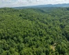 3091B Pleasantdale Road, Kingwood, West Virginia 26537, ,Lots/land,For Sale,Pleasantdale,10165457