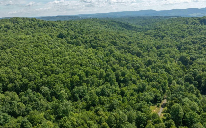 3091B Pleasantdale Road, Kingwood, West Virginia 26537, ,Lots/land,For Sale,Pleasantdale,10165457