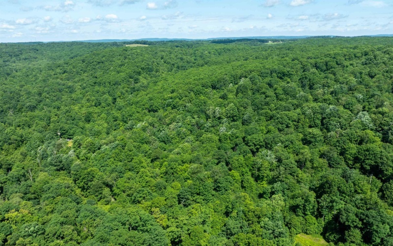 3091B Pleasantdale Road, Kingwood, West Virginia 26537, ,Lots/land,For Sale,Pleasantdale,10165457