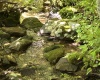 3091B Pleasantdale Road, Kingwood, West Virginia 26537, ,Lots/land,For Sale,Pleasantdale,10165457