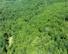3091B Pleasantdale Road, Kingwood, West Virginia 26537, ,Lots/land,For Sale,Pleasantdale,10165457