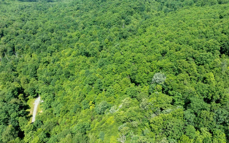 3091B Pleasantdale Road, Kingwood, West Virginia 26537, ,Lots/land,For Sale,Pleasantdale,10165457