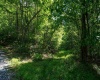 3091B Pleasantdale Road, Kingwood, West Virginia 26537, ,Lots/land,For Sale,Pleasantdale,10165457