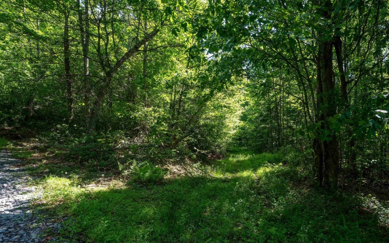 3091B Pleasantdale Road, Kingwood, West Virginia 26537, ,Lots/land,For Sale,Pleasantdale,10165457