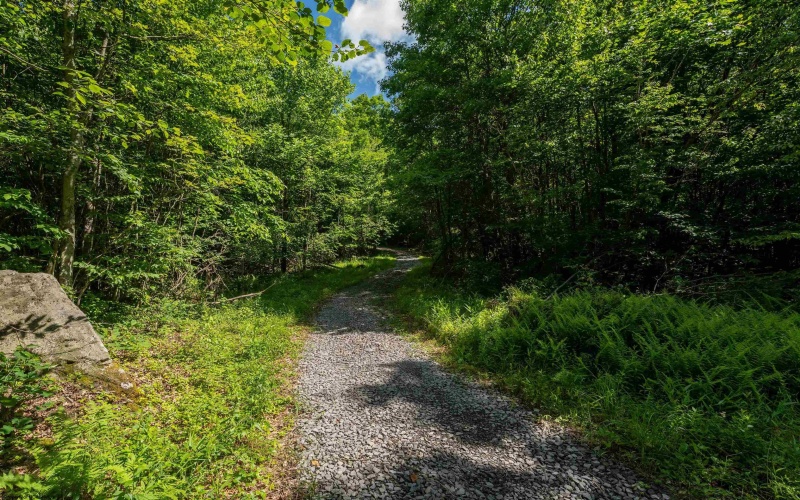 3091B Pleasantdale Road, Kingwood, West Virginia 26537, ,Lots/land,For Sale,Pleasantdale,10165457