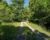 3091B Pleasantdale Road, Kingwood, West Virginia 26537, ,Lots/land,For Sale,Pleasantdale,10165457