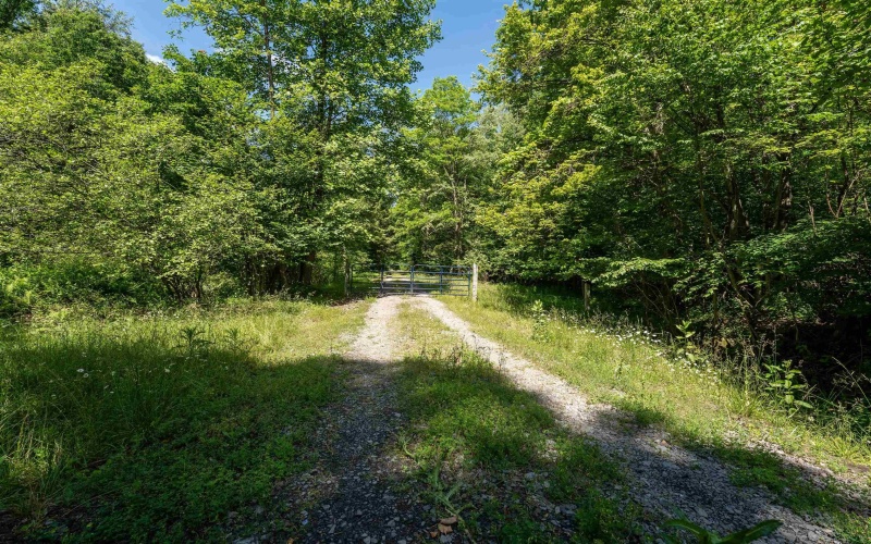 3091B Pleasantdale Road, Kingwood, West Virginia 26537, ,Lots/land,For Sale,Pleasantdale,10165457