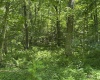 3091B Pleasantdale Road, Kingwood, West Virginia 26537, ,Lots/land,For Sale,Pleasantdale,10165457